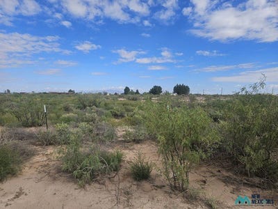 /international/us/1234-s-luna-rd-se-e-deming-nm-110120120313/