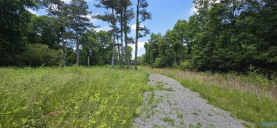 /international/us/shankles-circle-lot-1-rainsville-al-110108166347/