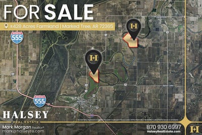 /international/us/428-acres-marked-tree-ar-110107319497/