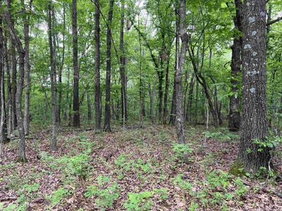 /international/us/12-acres-on-meadow-creek-drive-harrison-ar-110092039821/?lang=zh-cn