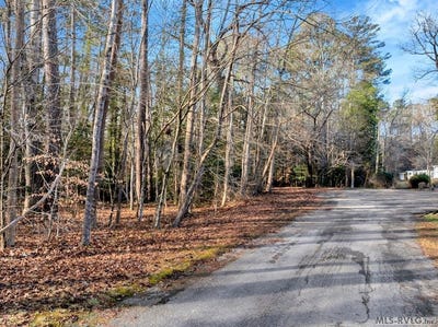 /international/us/chestnut-drive-lot-15-m-bracey-va-110104218355/