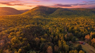 /international/us/161-glover-run-goshen-va-110107755302/