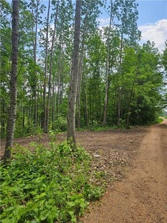 /international/us/parcel-e-rogue-way-ironton-mn-110108504790/