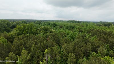 /international/us/6936-hillsboro-ludlow-road-forest-ms-110107658812/