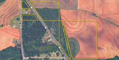 /international/us/hwy-167-s-tract-2-clayhatchee-al-110119722211/