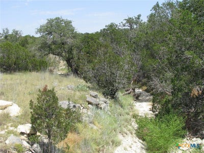 /international/us/private-road-lot-11-evant-tx-110098193464/