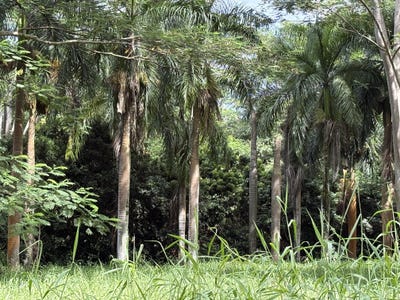 /international/us/4641-f-kuawa-rd-kilauea-hi-110102937947/