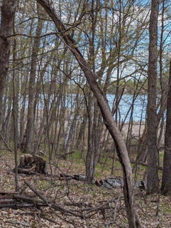/international/us/paradise-drive-browerville-mn-110107465410/