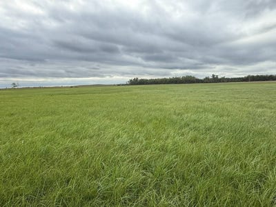 /international/us/80-acres-holt-county-inman-ne-110120060102/