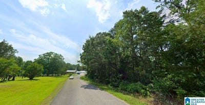 /international/us/county-road-20-haleyville-al-110108501112/