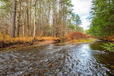 /international/us/40-e-putney-brook-road-putney-vt-110103601007/