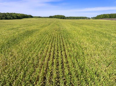 /international/us/23490-valencourt-road-copemish-mi-110110186555/