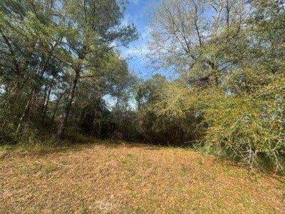 /international/us/delta-woods-drive-bay-minette-al-110106843507/