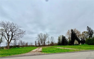 /international/us/maple-street-albion-ny-110107750216/