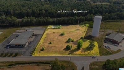 /international/us/430-george-roy-parkway-lot-19-calera-al-110119986297/