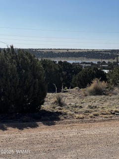 /international/us/60-short-lane-concho-az-110103504643/