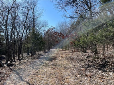 /international/us/0-county-road-349a-piedmont-mo-110098062133/