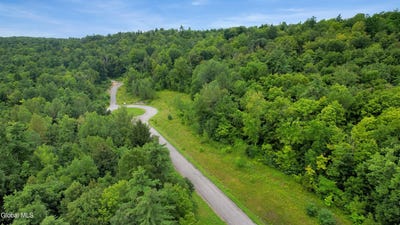 /international/us/l30-2-hilltop-drive-gansevoort-ny-110109975265/