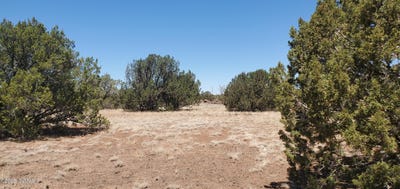 /international/us/tbd-high-plains-road-show-low-az-110101140839/?lang=en