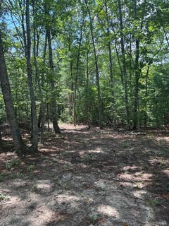 /international/us/0-cheatham-road-monroe-va-110100868833/