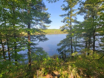 /international/us/00-maple-ridge-rd-dekalb-junction-ny-110101317455/?lang=en