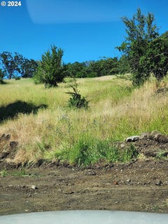 /international/us/club-ave-roseburg-or-110092436847/