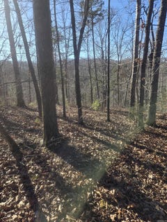 /international/us/ruddle-rd-mountain-view-ar-110104947402/