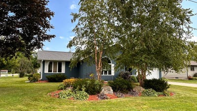 /international/us/110-angelique-avenue-wabasha-mn-110120156315/