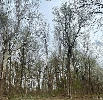 /international/us/0-county-road-351-scott-city-mo-110106945098/