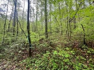 /international/us/lot-113-bear-den-trl-grandview-tn-110099130266/