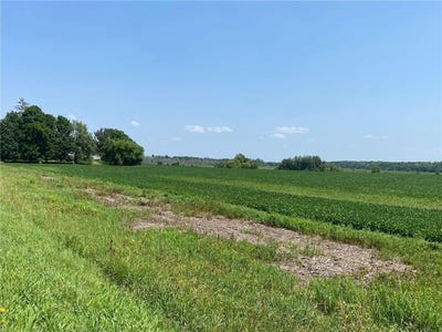 /international/us/40525-highway-65-ne-stanchfield-twp-mn-110101455069/?lang=zh-tw