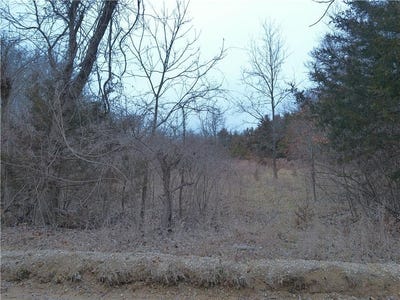 /international/us/w-371st-street-osawatomie-ks-110105884014/