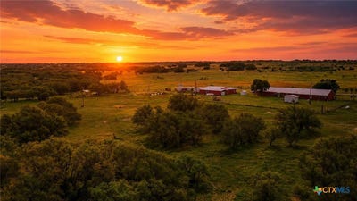 /international/us/1360-w-us-hwy-84-mullin-tx-110108582691/