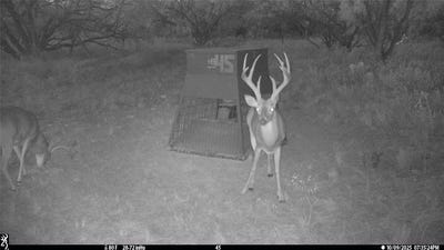 /international/us/tbd-tbd-cntty-rd-291-breckenridge-tx-110107000326/