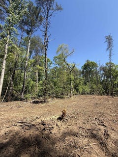 /international/us/thompson-road-greer-sc-110108476229/