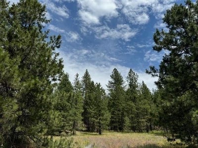 /international/us/587x-lot-3-lower-weaver-way-deer-park-wa-110097087750/
