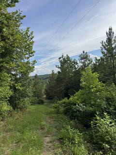 /international/us/9835-hwy-24-vina-al-110108780745/