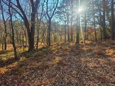/international/us/8396-wellington-neck-rd-lot-14-franktown-va-110103739603/
