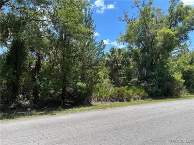 /international/us/10257-n-coco-plumosa-drive-crystal-river-fl-110100796847/?lang=zh-tw