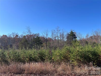 /international/us/5-stephens-trail-road-sandy-ridge-nc-110105864056/