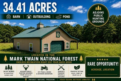 /international/us/11600-missouri-125-bradleyville-mo-110109855087/