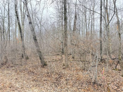 /international/us/28-7-8-avenue-lot-20-birchwood-wi-110107060624/