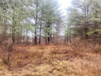 /international/us/10138-schuknecht-road-fillmore-ny-110106676017/