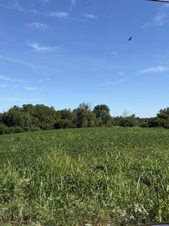 /international/us/7825-mount-carmel-road-flemingsburg-ky-110109036495/