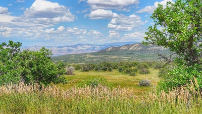 /international/us/-parcel-8-tbd-highway-65-mesa-co-110088981210/?lang=pt