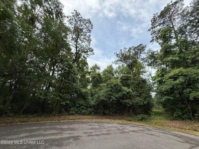 /international/us/6822-apona-street-lot-96-diamondhead-ms-110107984997/