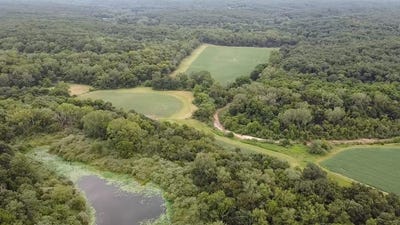 /international/us/buffalo-trail-kirksville-mo-110104999340/