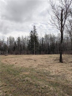/international/us/1102-w-county-line-road-beseman-twp-mn-110107573366/