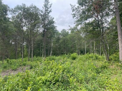 /international/us/lot-4-patriot-ave-pequot-lakes-mn-110098497466/