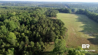 /international/us/joe-reeves-road-castleberry-al-110108090148/